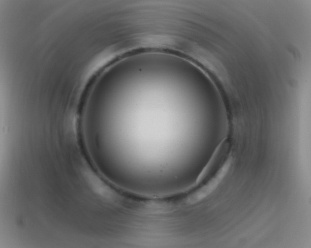 X0000114401029200910161311