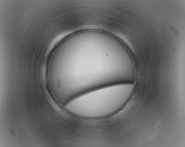 X0000114401030200910161311