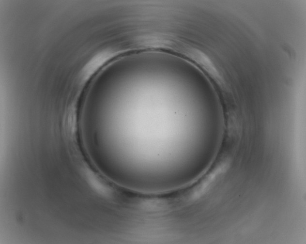 X0000114401031200910161311