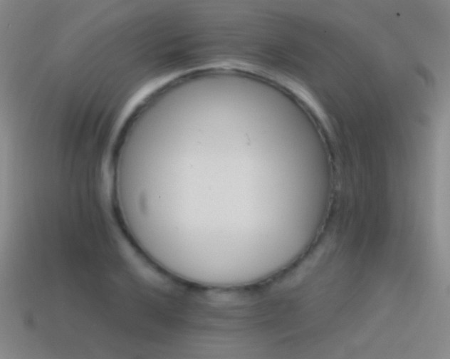 X0000114401032200910161311