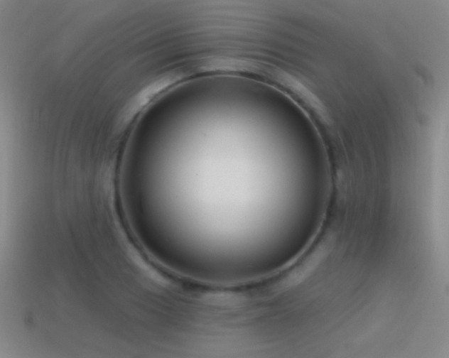 X0000114401033200910161311