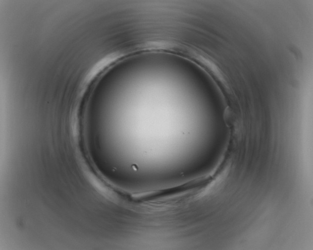 X0000114401034200910161311