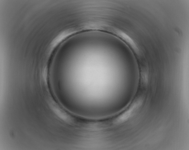 X0000114401035200910161311