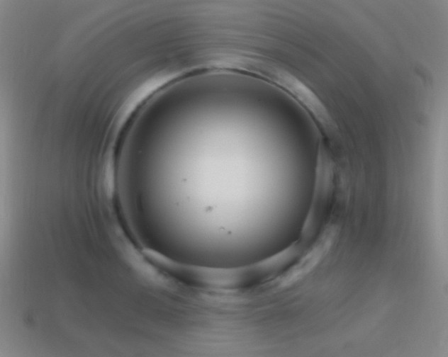 X0000114401036200910161311