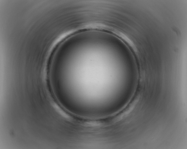 X0000114401037200910161311