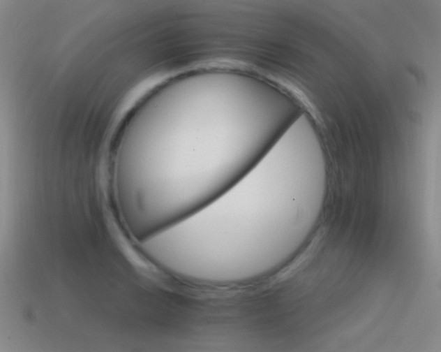 X0000114401038200910161311