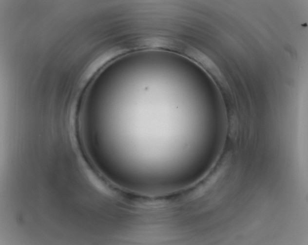 X0000114401039200910161311