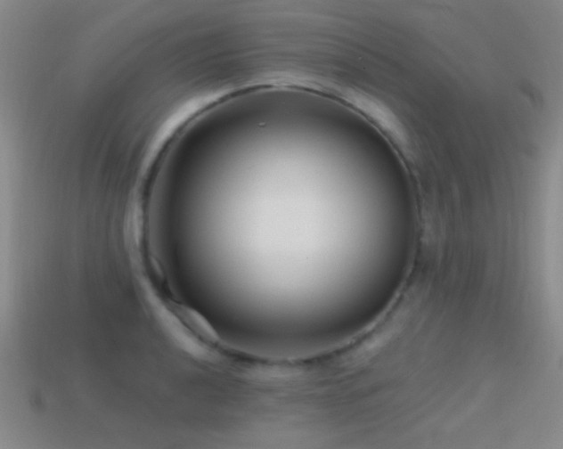 X0000114401040200910161311