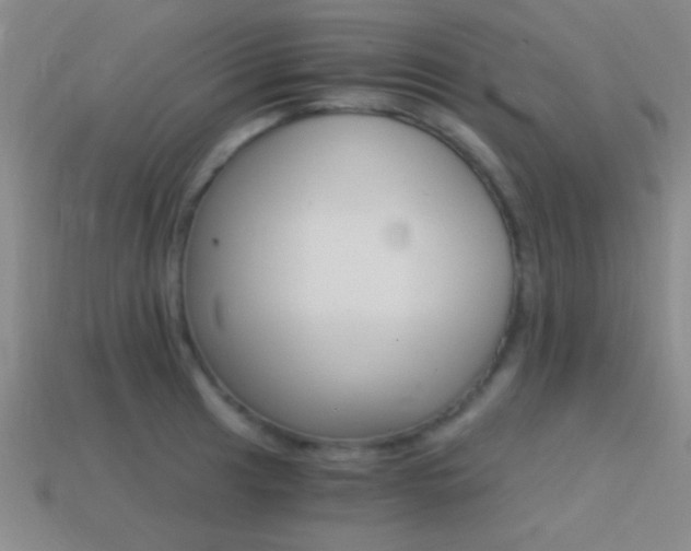 X0000114401041200910161311