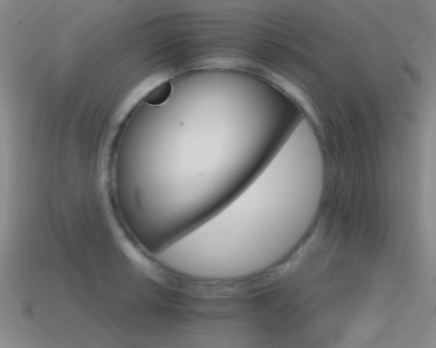 X0000114401042200910161311