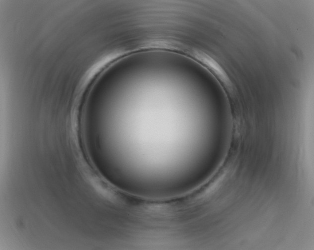 X0000114401043200910161311