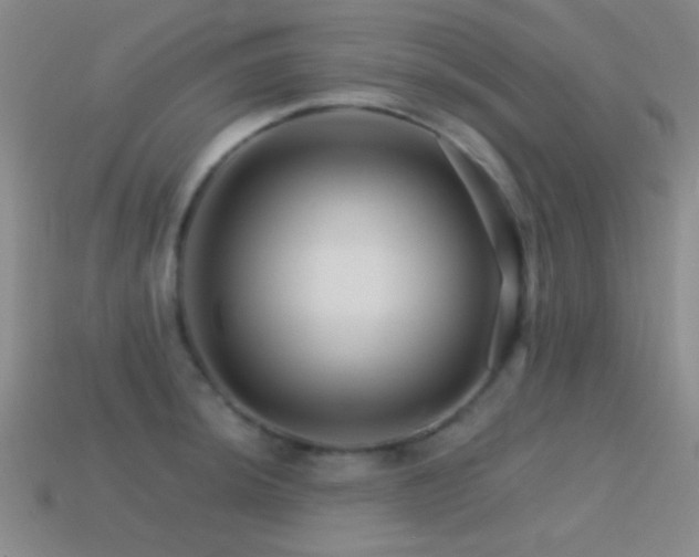 X0000114401044200910161311