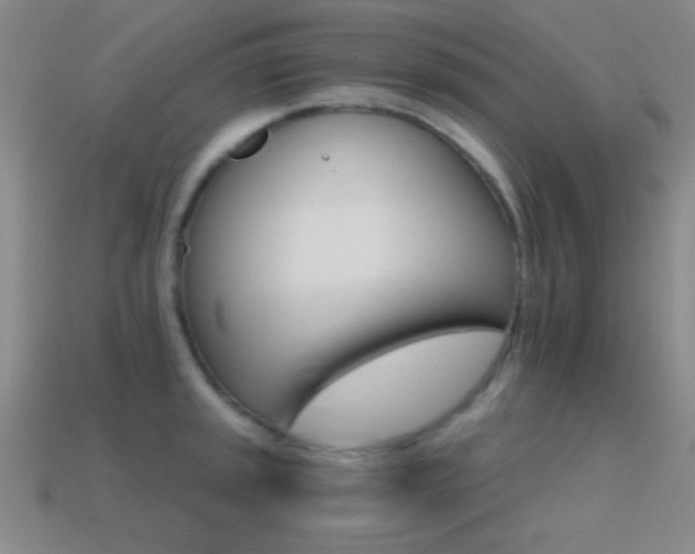 X0000114401045200910161311