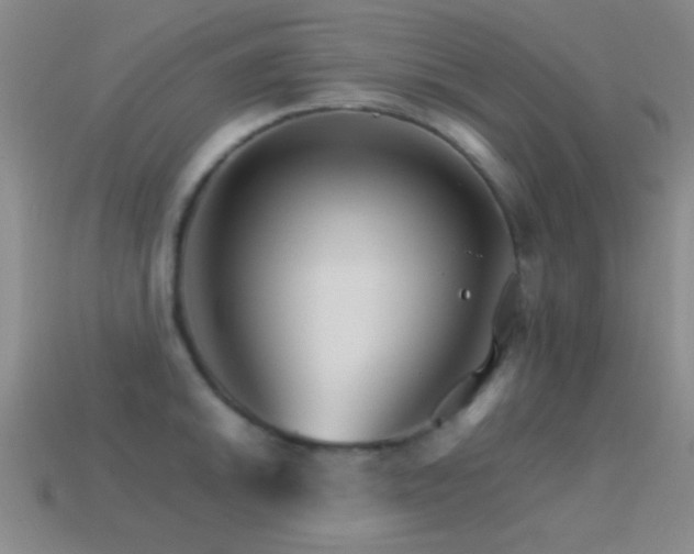 X0000114401046200910161311