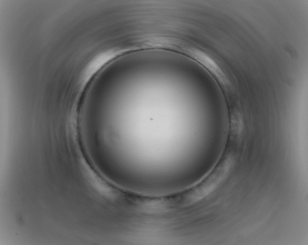 X0000114401047200910161311