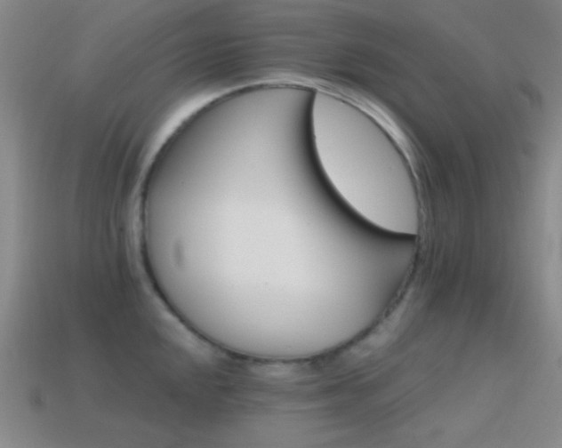 X0000114401048200910161311