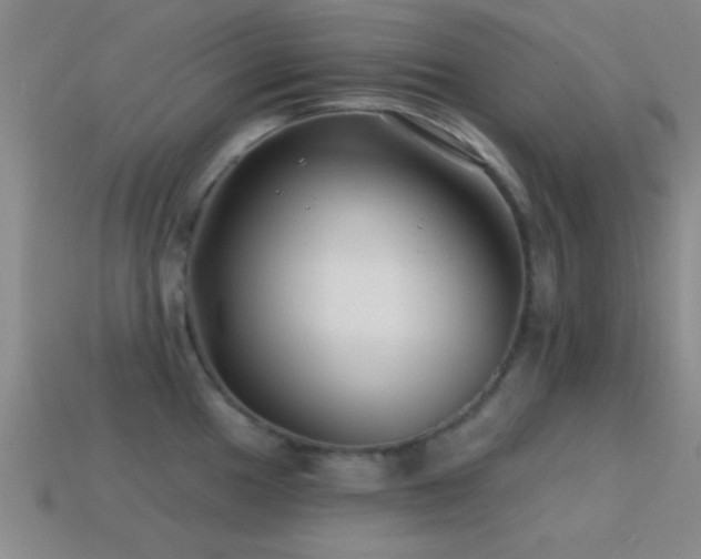 X0000114401049200910161311