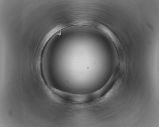 X0000114401050200910161311