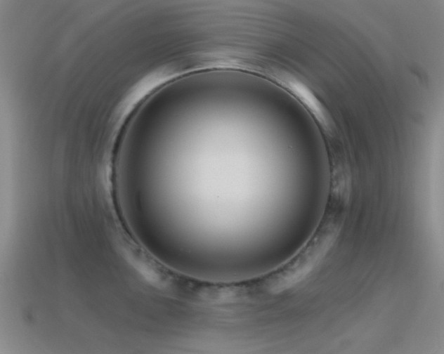 X0000114401051200910161311