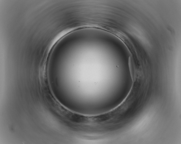 X0000114401052200910161311