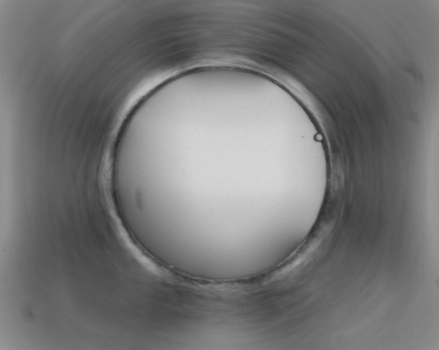 X0000114401053200910161311