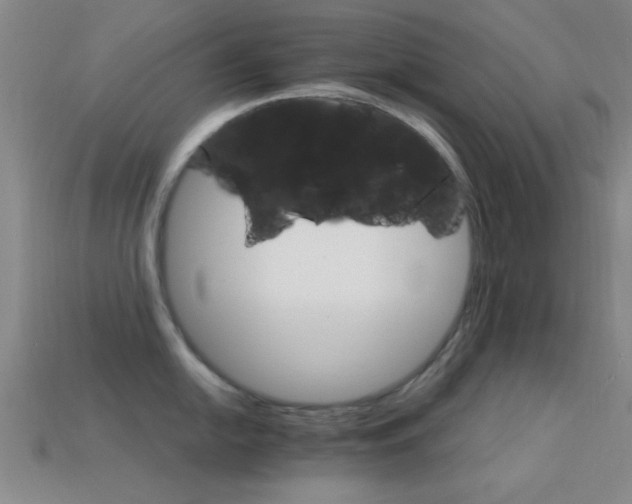 X0000114401054200910161311