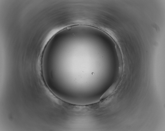 X0000114401056200910161311