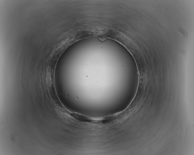 X0000114401058200910161310