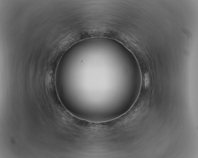 X0000114401059200910161310