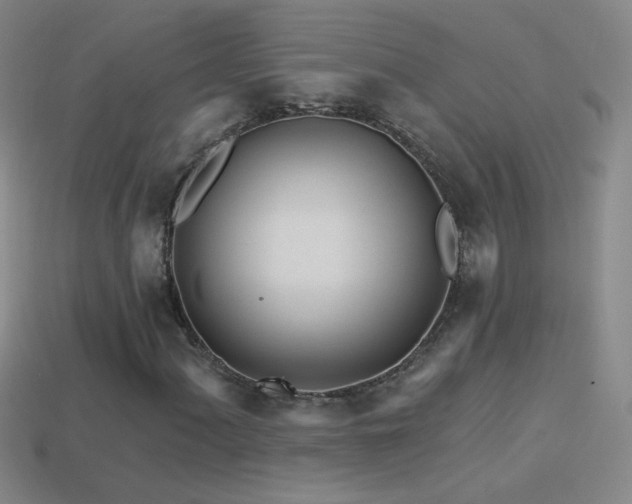 X0000114401060200910161310