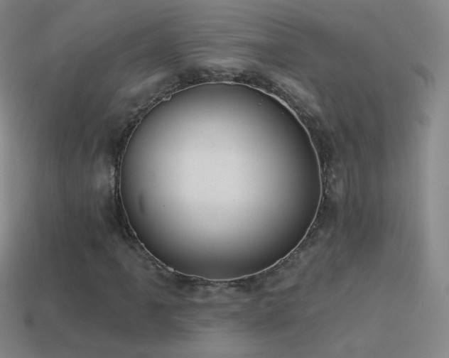 X0000114401061200910161310