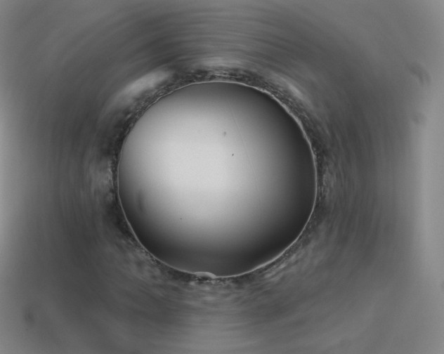 X0000114401062200910161310