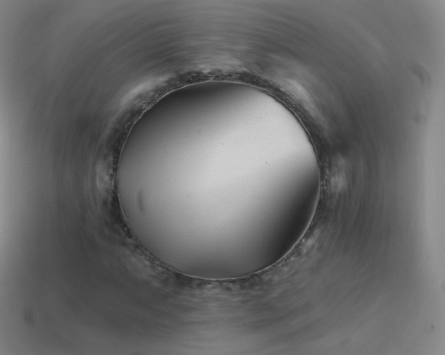 X0000114401063200910161310