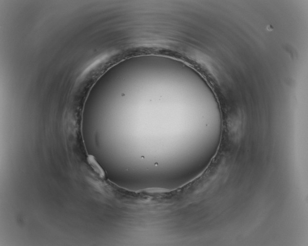 X0000114401064200910161310