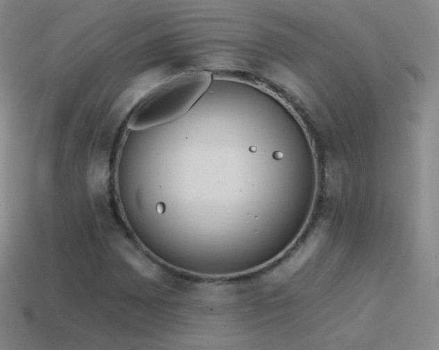 X0000114401065200910161310