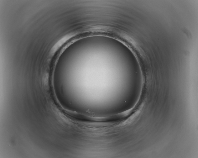 X0000114401066200910161310