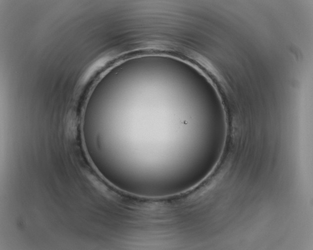 X0000114401067200910161310