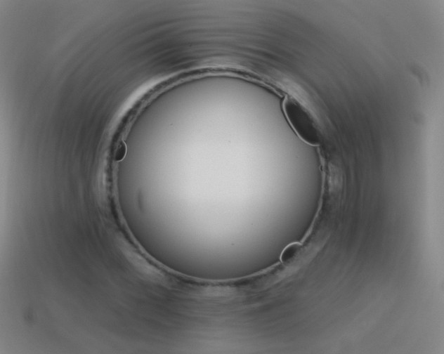 X0000114401068200910161310