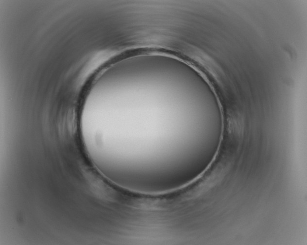 X0000114401069200910161310