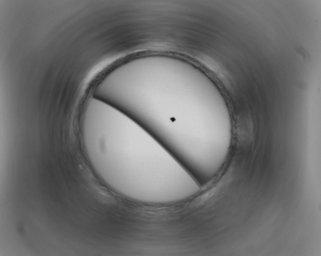 X0000114401070200910161310