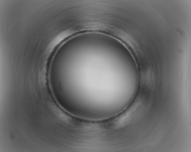 X0000114401071200910161310