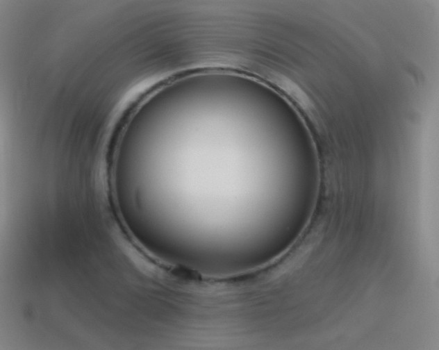 X0000114401072200910161310