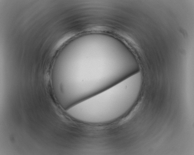 X0000114401073200910161310