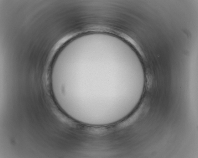 X0000114401074200910161310