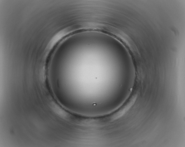 X0000114401075200910161310