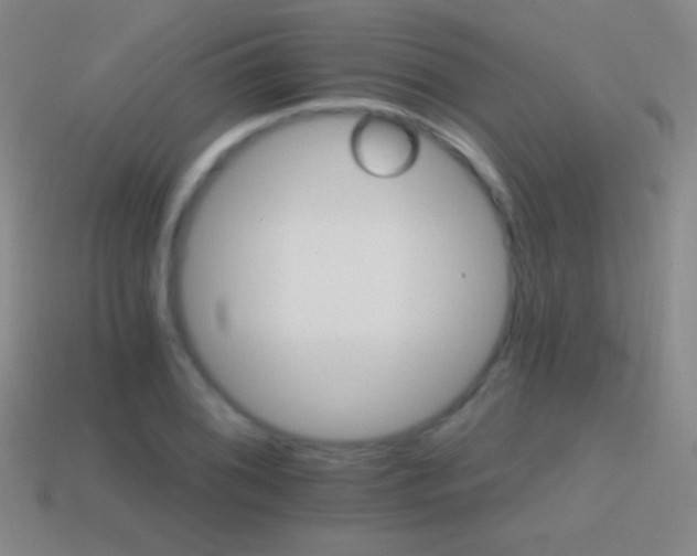 X0000114401076200910161310