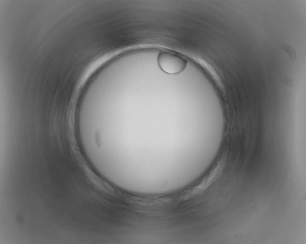 X0000114401077200910161310