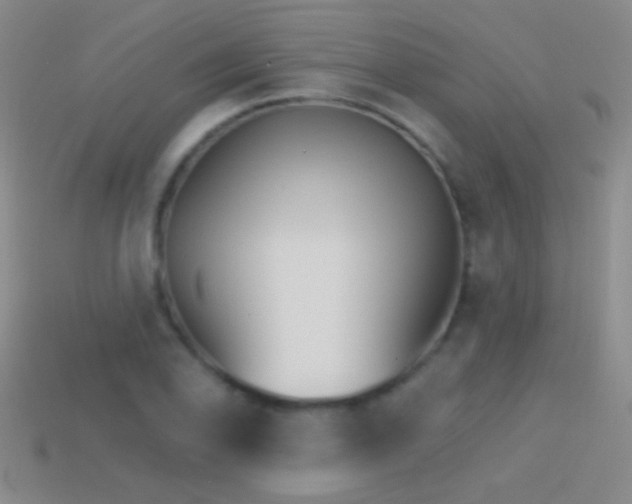 X0000114401078200910161310