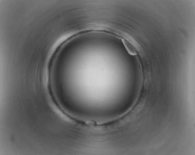 X0000114401080200910161310