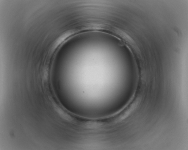 X0000114401081200910161310